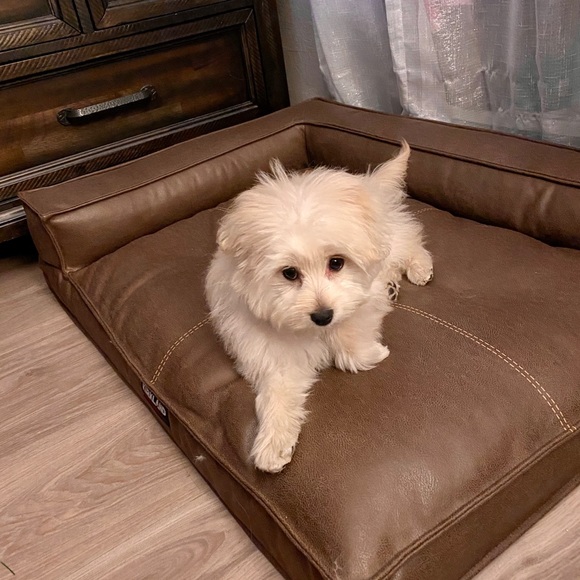 Meet your Posher, Katherine - Picture 5 of 7